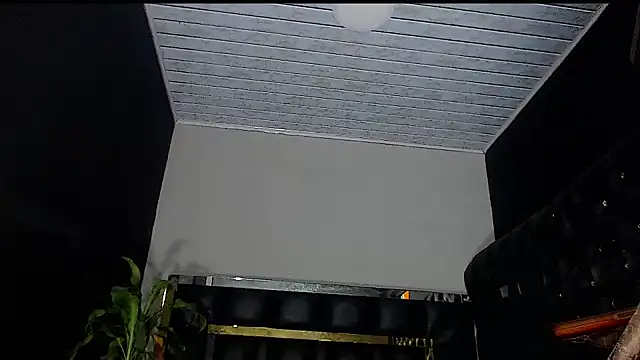 Kitie Petarda online show from 10-23-25, 08:46