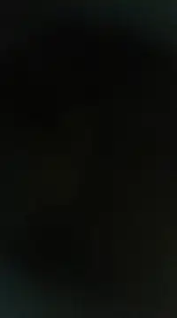 Peshi123 online show from 03-02-25, 09:31