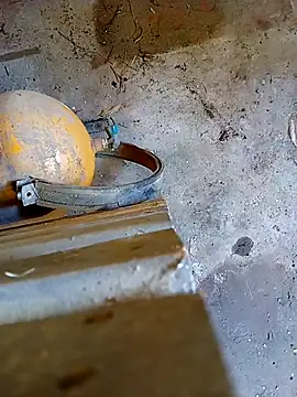 Din0071 online show from 01-07-26, 05:59