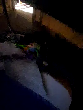 daddysmalldick502 online show from 11-04-25, 06:40