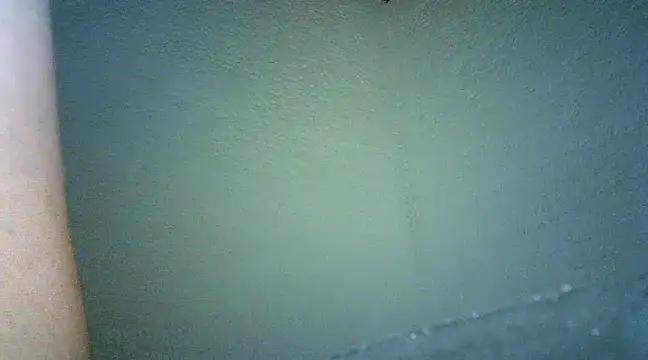 Bellabeltrann online show from 01-25-25, 09:47