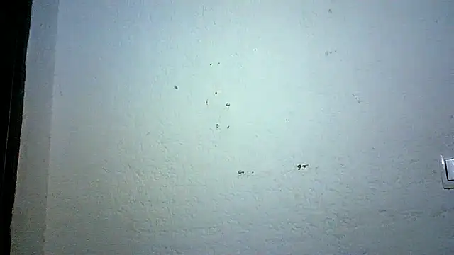 Bellabeltrann online show from 10-03-25, 09:12