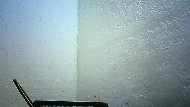 Snapshot of Bellabeltrann chatting on 11-30-25, 11:42 Bellabeltrann online show from 11-30-25, 11:42