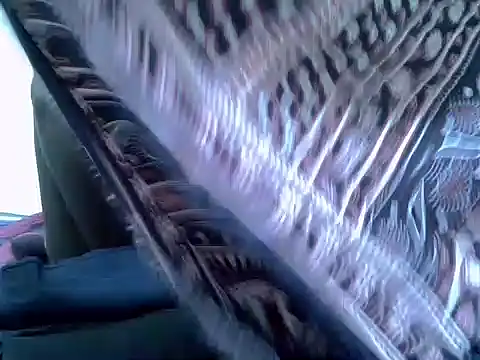 Snapshot of pointy_bloom chatting on 11-22-25, 03:33 pointy bloom online show from 11-22-25, 03:33