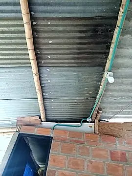 Snapshot of Janle_19c chatting on 12-06-24, 05:00 Janle 19c online show from 12-06-24, 05:00