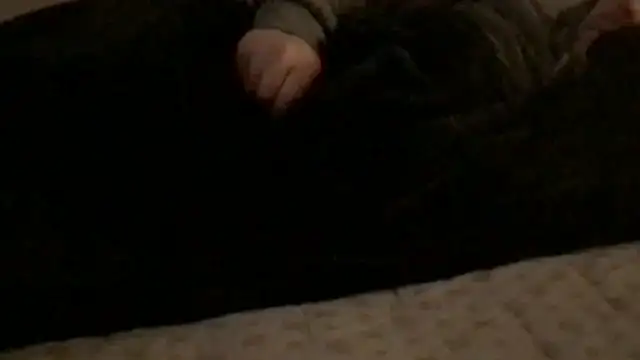 Rock Pierce online show from 02-28-26, 01:23