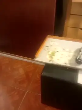 Snapshot of jmliimonsito chatting on 04-03-26, 11:36 jmliimonsito online show from 04-03-26, 11:36