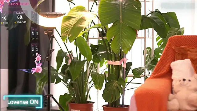 EmilyRaymont online show from 10-18-25, 08:04