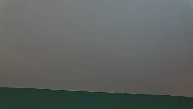 AlicePirs online show from 01-25-25, 05:40