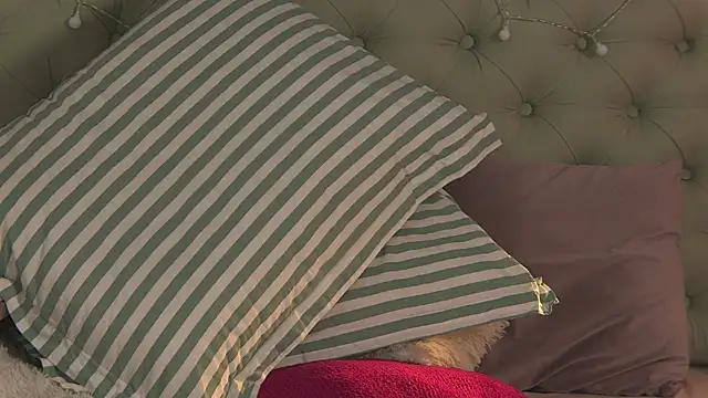 AlicePirs online show from 02-06-25, 11:32