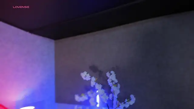 MelodyAdamss online show from 02-14-26, 11:34