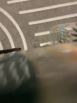 Snapshot of dimitriei chatting on 11-15-25, 06:22 dimitriei online show from 11-15-25, 06:22