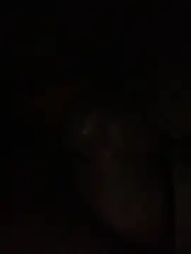 ThickD619 online show from 12-11-24, 12:23