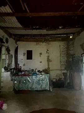 amy gata online show from 11-15-25, 10:12