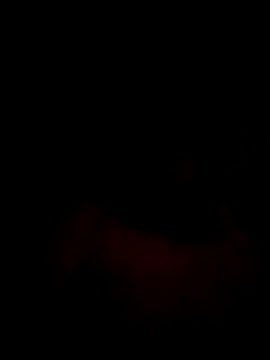 Mahi-00B online show from 01-16-26, 06:12