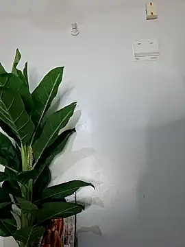 korah01 online show from 11-14-25, 02:54