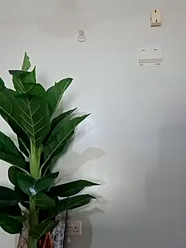 korah01 online show from 11-19-25, 08:03