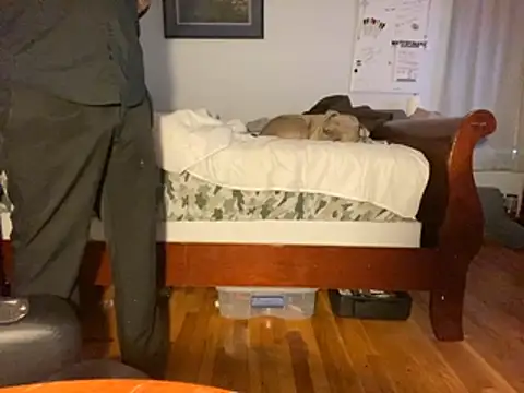 flexingplexico online show from 01-14-26, 01:06