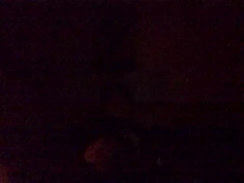 Snapshot of DragonPink chatting on 12-24-24, 12:11 DragonPink online show from 12-24-24, 12:11