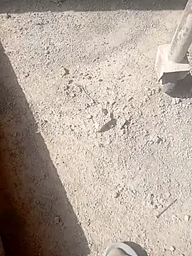 Snapshot of Kurtsikici@xh chatting on 10-21-25, 09:32 Kurtsikicixh online show from 10-21-25, 09:32