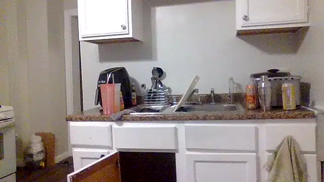 AllLeggs online show from 12-31-24, 11:09