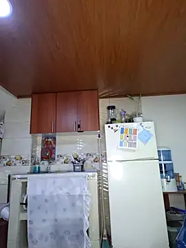 Snapshot of Selket11 chatting on 12-27-24, 11:17 Selket11 online show from 12-27-24, 11:17
