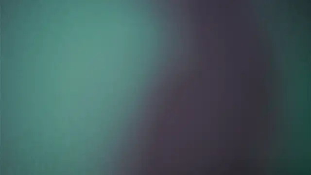 ginger hugs online show from 02-18-25, 01:10