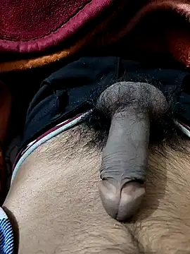 Snapshot of PAWARXX_0 chatting on 01-09-25, 05:22 PAWARXX 0 online show from 01-09-25, 05:22