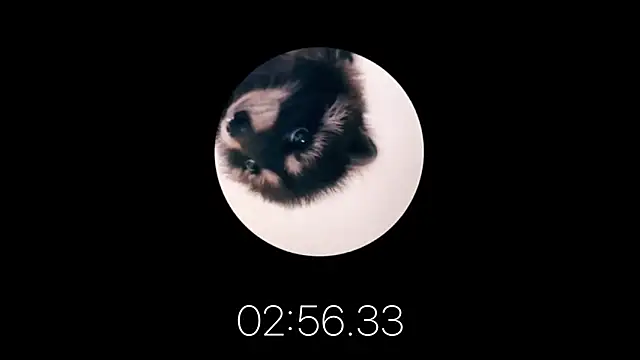 les mod sc2 online show from 02-12-25, 01:59