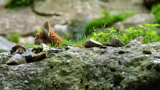 Snapshot of streamy_test13 chatting on 01-09-26, 03:04 streamy test13 online show from 01-09-26, 03:04