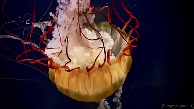 Snapshot of streamy_test15 chatting on 11-27-25, 03:14 streamy test15 online show from 11-27-25, 03:14