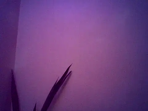 Snapshot of Malandralle chatting on 11-25-25, 05:29 Malandralle online show from 11-25-25, 05:29