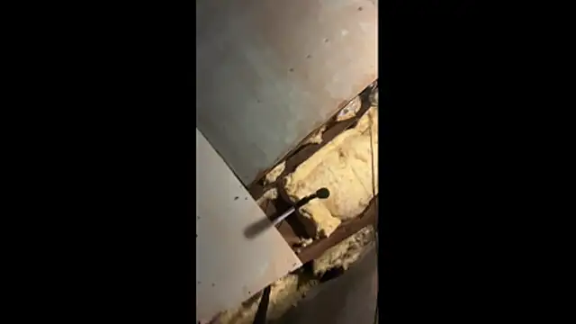 Snapshot of Manwhorxxlcock chatting on 03-03-26, 10:32 Manwhorxxlcock online show from 03-03-26, 10:32