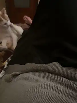 bigboy30X online show from 10-31-25, 04:19