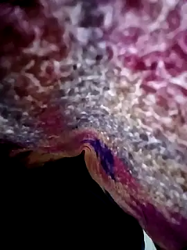 morenogts69 online show from 10-24-25, 01:29