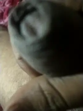 Snapshot of vikas13155 chatting on 04-13-26, 06:35 vikas13155 online show from 04-13-26, 06:35