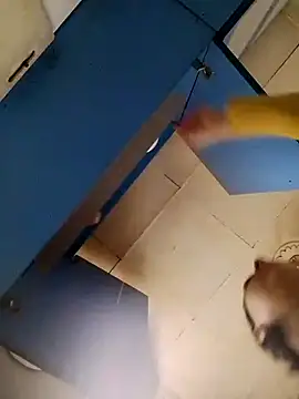 Gussie Bridie online show from 10-24-25, 04:53