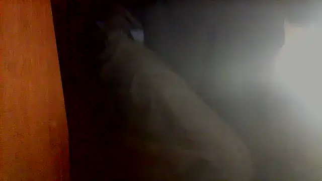 nice6incs online show from 11-05-25, 11:05