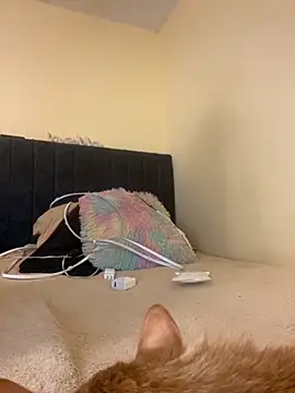 Snapshot of liaqueen610 chatting on 11-13-25, 11:14 liaqueen610 online show from 11-13-25, 11:14