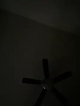 Snapshot of goldbuni chatting on 12-08-24, 01:36 goldbuni online show from 12-08-24, 01:36