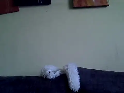 Delicious-D online show from 02-10-26, 04:49