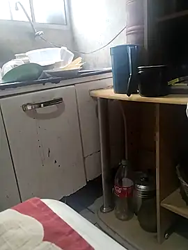 bibifonsecah online show from 02-11-26, 04:12