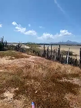 daniel traviexxxo online show from 10-12-25, 05:12