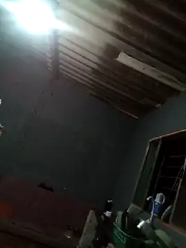 Japohzl2 online show from 11-08-25, 07:19