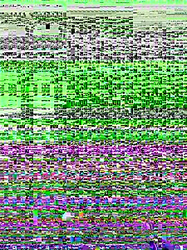 NDith online show from 12-02-25, 05:02