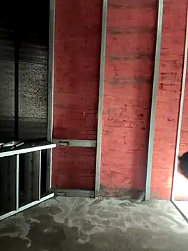 Snapshot of Hellen_111 chatting on 11-11-25, 03:12 Hellen 111 online show from 11-11-25, 03:12