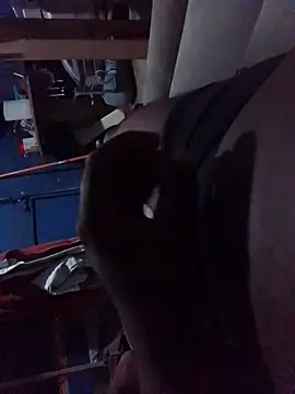 Snapshot of Algenis1232 chatting on 10-29-25, 01:02 Algenis1232 online show from 10-29-25, 01:02