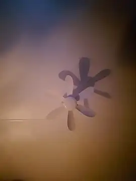 Dorset8360 online show from 11-18-25, 02:17