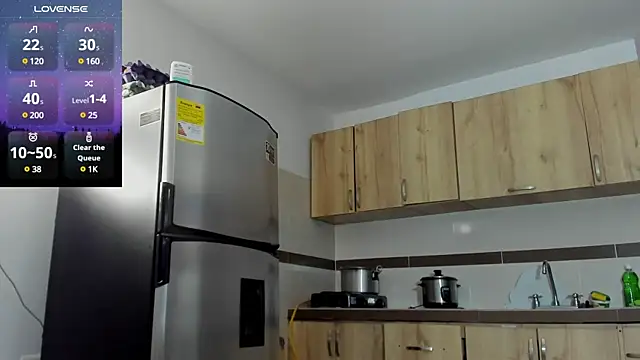 MattRodriguez9 online show from 01-30-25, 04:02