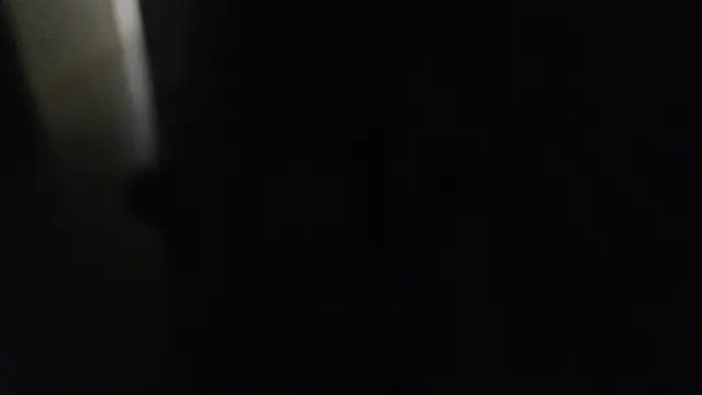 joeydee1 online show from 12-07-24, 07:21